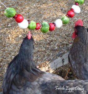 Edible Holiday Garlands for your Backyard Flock Image